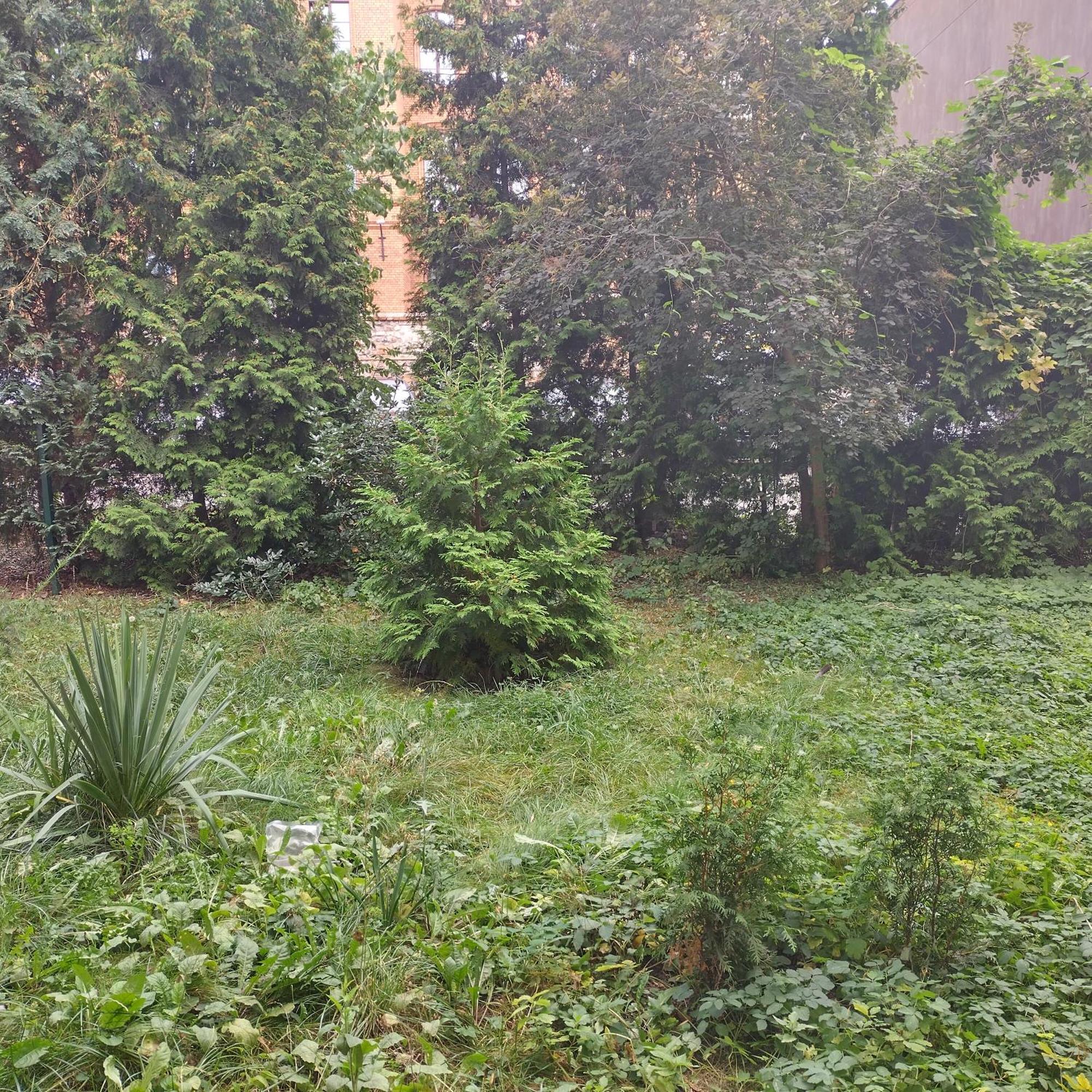 Apartament Przedzamcze Stary Toruń Kültér fotó